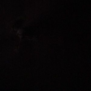 Meet your Posher, Joanna